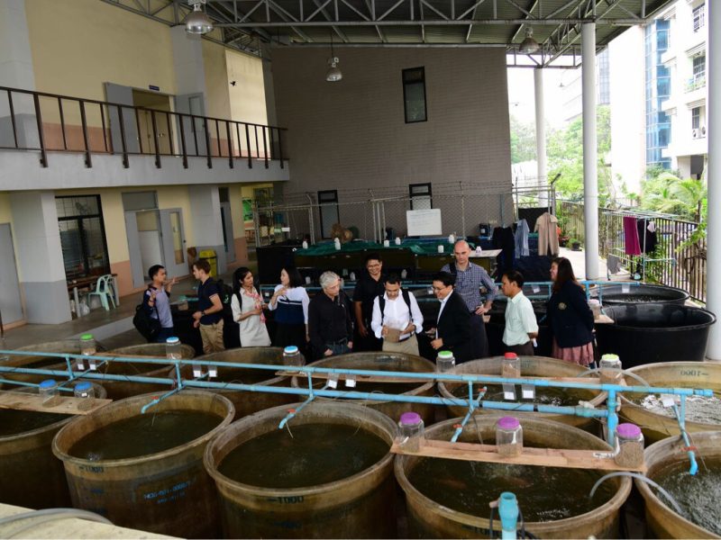 2017: Kasetsart University and AFFIA reinforce their collaboration