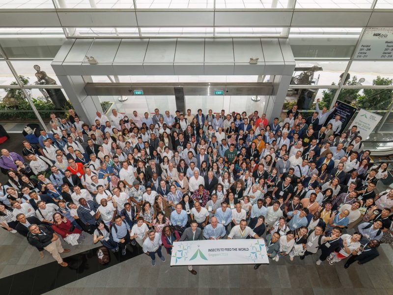 2024: Insect to Feed the World